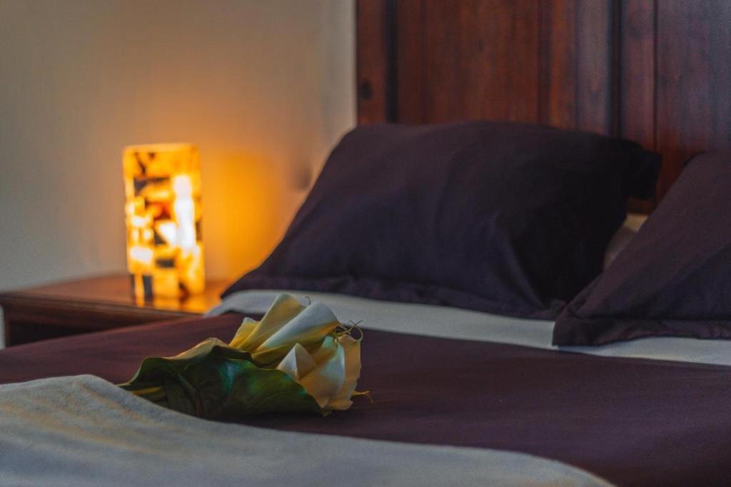 San Cristóbal de Las Casas Cortijo La Casona & Bungalow Al Pie De La Montana מראה חיצוני תמונה