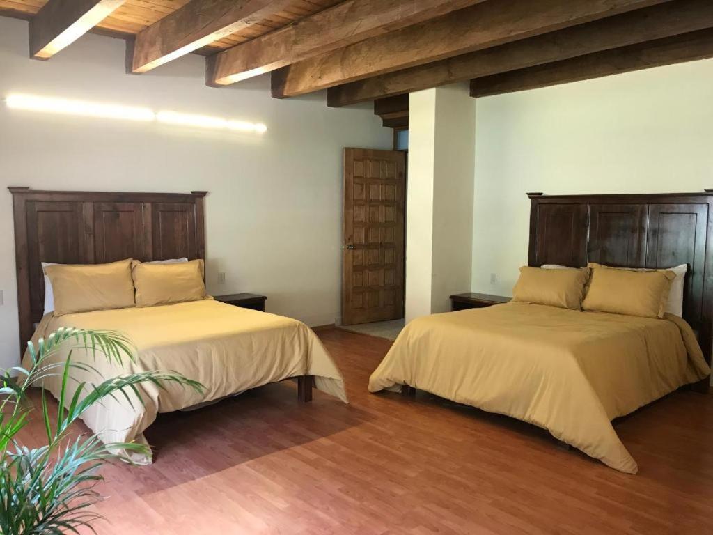 San Cristóbal de Las Casas Cortijo La Casona & Bungalow Al Pie De La Montana מראה חיצוני תמונה